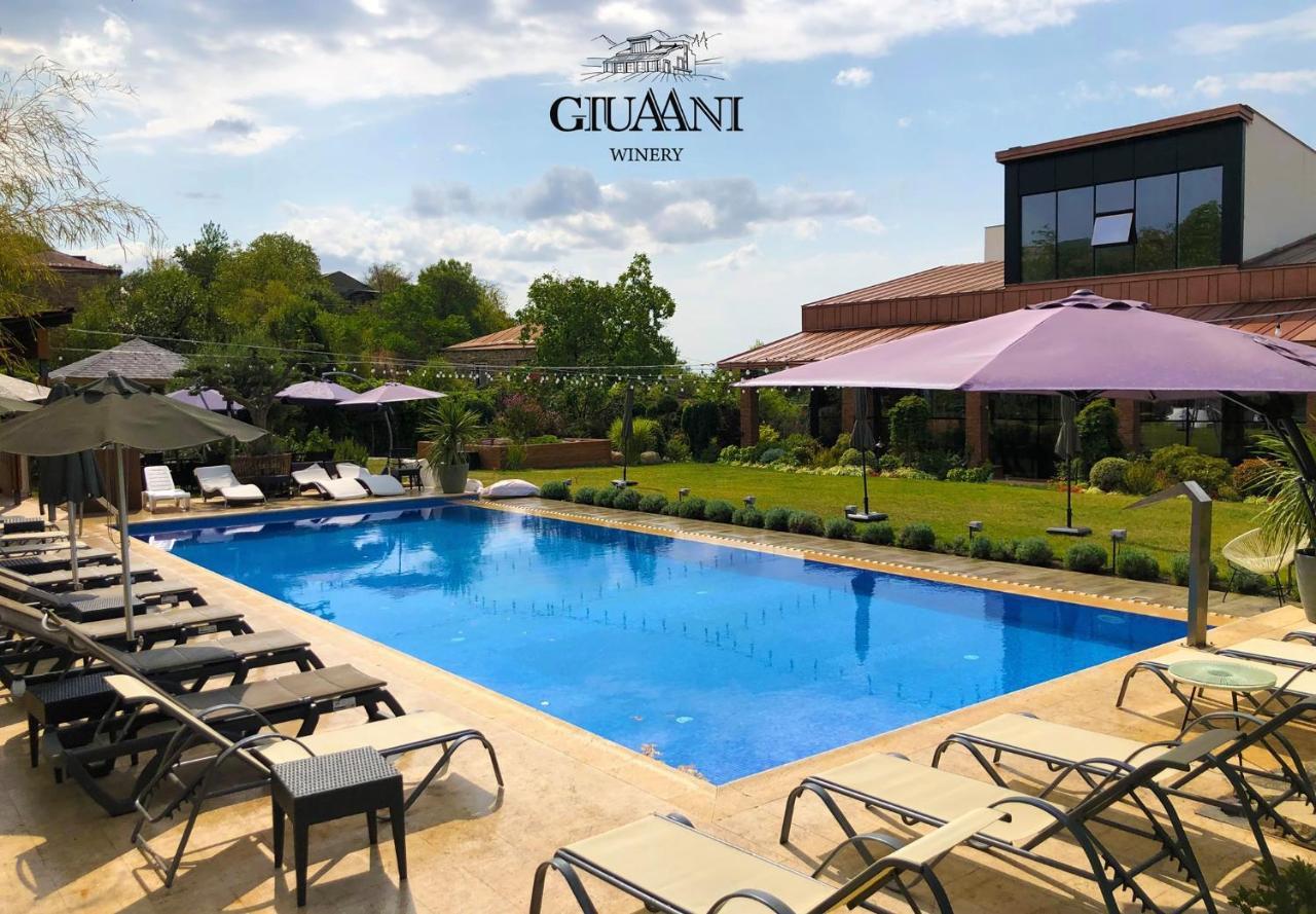 Hotel Giuaani Winery Manavi Esterno foto